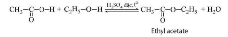 hinh-anh-bai-27-acetic-acid-9300-8