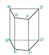 hinh-anh-luyen-tap-trang-100-9590-4