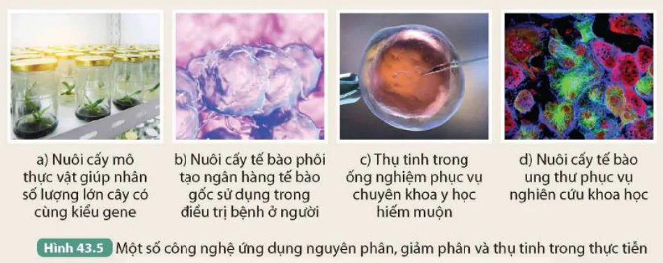 hinh-anh-bai-43-nguyen-phan-va-giam-phan-9639-4