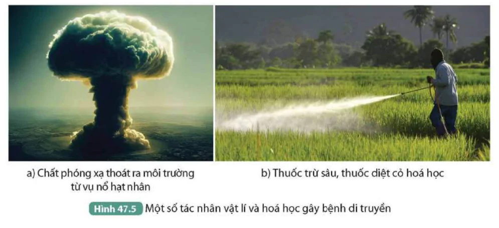 hinh-anh-bai-47-di-truyen-hoc-voi-con-nguoi-9823-4