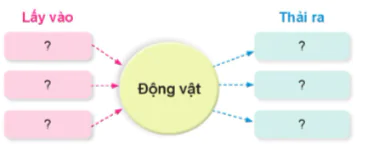 hinh-anh-bai-14-nhu-cau-song-cua-dong-vat-va-cham-soc-vat-nuoi-10838-4