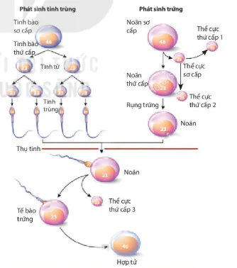 hinh-anh-bai-17-giam-phan-12853-2
