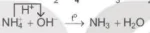 hinh-anh-bai-5-ammonia-muoi-ammonium-13180-15