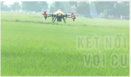 hinh-anh-bai-1-gioi-thieu-ve-trong-trot-13236-7