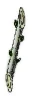 hinh-anh-bai-14-thuc-hanh-nhan-giong-cay-an-qua-bang-phuong-phap-ghep-13276-4