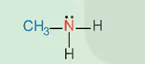 hinh-anh-bai-8-amine-13506-3