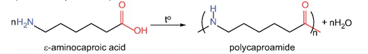 hinh-anh-bai-9-amino-acids-va-peptides-13508-3