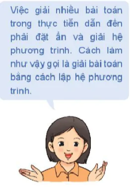 hinh-anh-bai-2-ung-dung-cua-he-phuong-trinh-bac-nhat-ba-an-13184-6