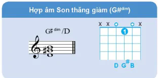 hinh-anh-bai-2-cac-hop-am-ba-phu-trong-dieu-truong-va-dieu-thu-13292-5