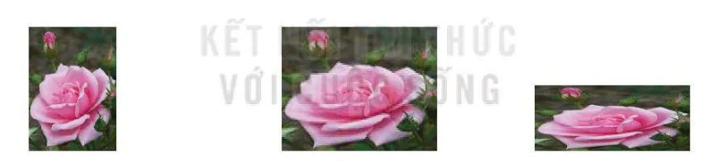 hinh-anh-bai-1-phep-bien-hinh-13447-22