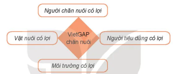 hinh-anh-bai-11-gioi-thieu-ve-chan-nuoi-theo-tieu-chuan-vietgap-13796-4