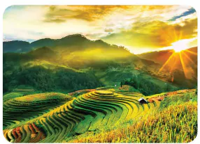hinh-anh-iii-cac-loai-vung-kinh-te-o-viet-nam-13963-4