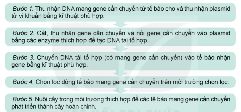 hinh-anh-bai-2-cong-nghe-sinh-hoc-trong-chon-tao-va-nhan-giong-cay-lam-nghiep-13980-4