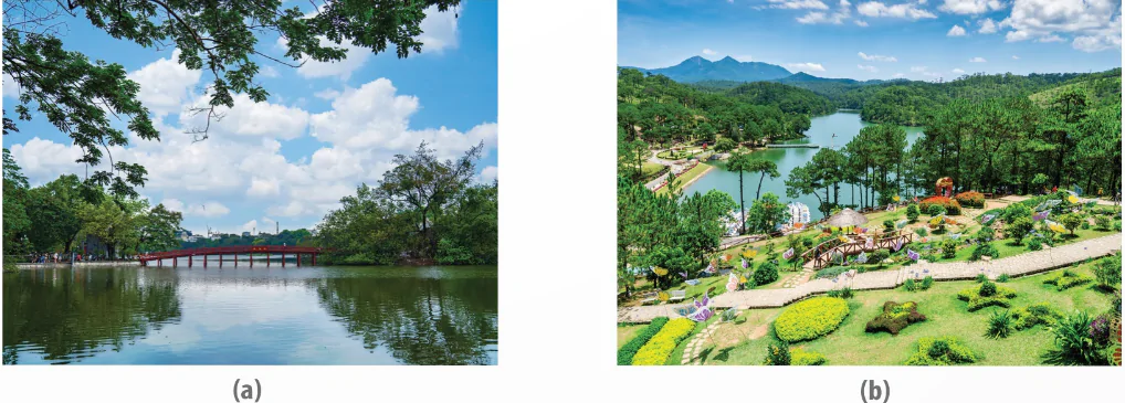 hinh-anh-bai-9-gia-tri-sinh-thai-nhan-van-trong-mot-so-linh-vuc-13945-4