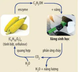 hinh-anh-bai-20-alcohol-13663-41