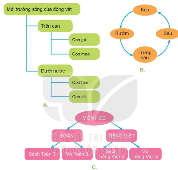 hinh-anh-bai-8-so-do-hinh-cay-to-chuc-thong-tin-trong-may-tinh-5641-5