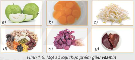 hinh-anh-bai-1-thanh-phan-dinh-duong-trong-thuc-pham-5717-5