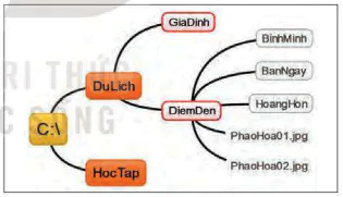 hinh-anh-bai-3-quan-li-du-lieu-trong-may-tinh-6050-6