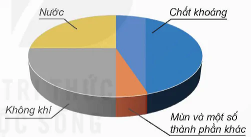 hinh-anh-bai-1-thanh-phan-va-vai-tro-cua-dat-doi-voi-cay-trong-6113-5