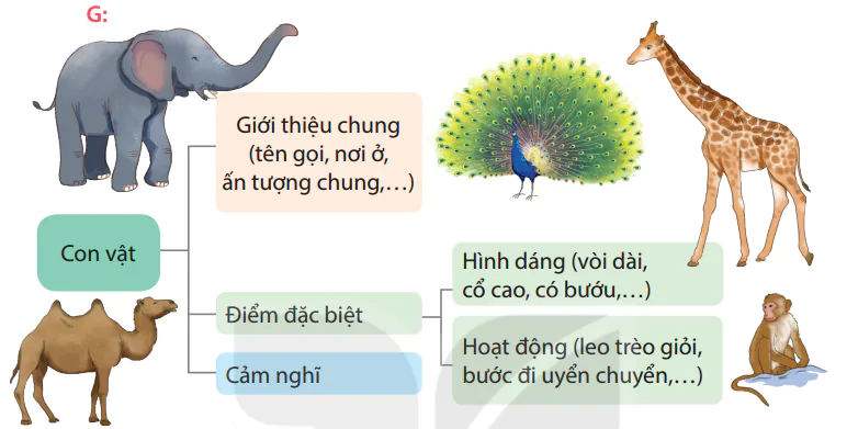 hinh-anh-on-tap-va-danh-gia-cuoi-hoc-ki-i-7858-4