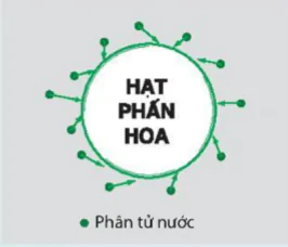 hinh-anh-bai-26-nang-luong-nhiet-va-noi-nang-9141-3