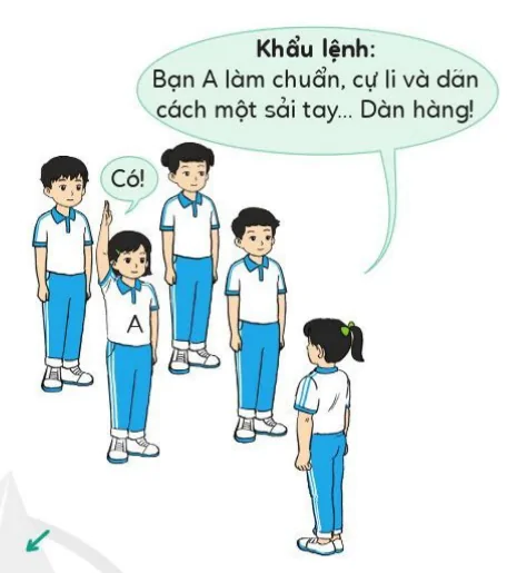 hinh-anh-bai-3-dan-hang-va-don-hang-theo-khoi-9594-5