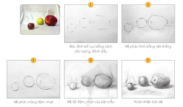 hinh-anh-bai-8-ve-mau-co-dang-khoi-cau-9802-4