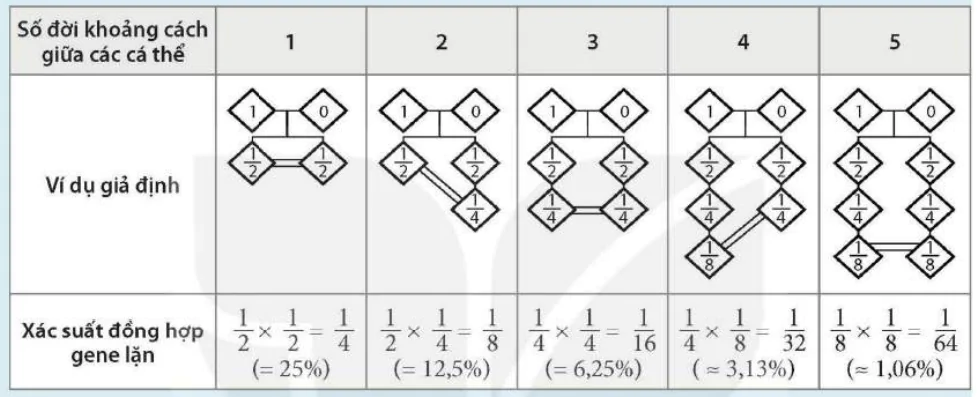 hinh-anh-bai-47-di-truyen-hoc-voi-con-nguoi-9823-5