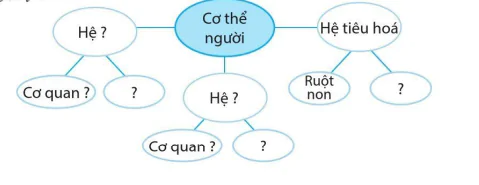 hinh-anh-bai-13-tu-te-bao-den-co-the-10745-37