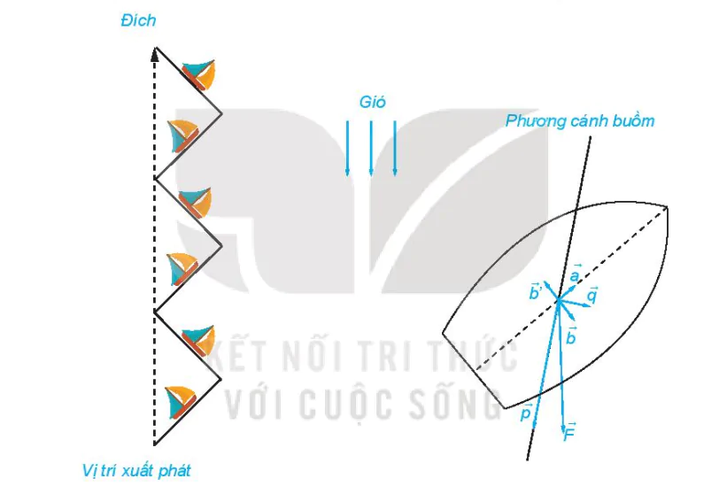 hinh-anh-bai-9-tich-cua-mot-vecto-voi-mot-so-11173-261