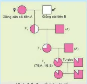 hinh-anh-bai-5-nhan-giong-vat-nuoi-12108-5