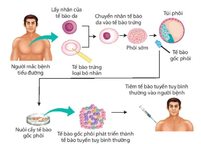 hinh-anh-bai-19-cong-nghe-te-bao-12860-3