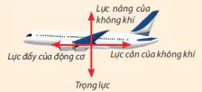hinh-anh-bai-19-luc-can-va-luc-nang-13475-13