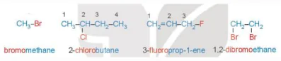 hinh-anh-bai-19-dan-xuat-halogen-13659-5