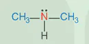 hinh-anh-bai-8-amine-13506-4