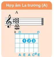hinh-anh-bai-1-hop-am-ba-cac-hop-am-ba-chinh-trong-dieu-truong-va-dieu-thu-13290-5