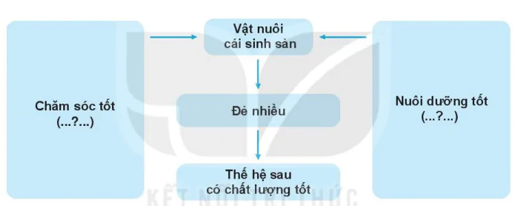 hinh-anh-bai-10-nuoi-duong-va-cham-soc-vat-nuoi-7449-4