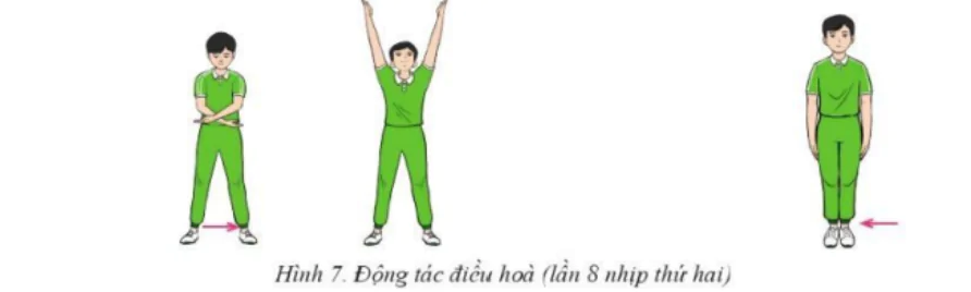 hinh-anh-bai-2-bai-tap-the-duc-nhip-dieu-dong-tac-chay-bo-dong-tac-bung-va-dong-tac-dieu-hoa-10762-6