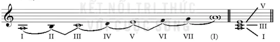 hinh-anh-chu-de-2-cuoc-song-men-thuong-12665-5