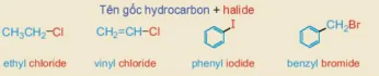 hinh-anh-bai-19-dan-xuat-halogen-13659-6