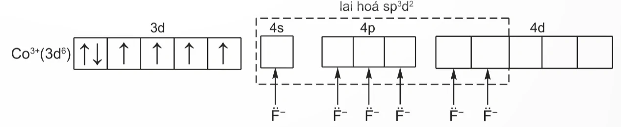 hinh-anh-bai-8-lien-ket-va-cau-tao-cua-phuc-chat-13929-6
