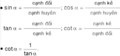 hinh-anh-bai-11-ti-so-luong-giac-cua-goc-nhon-5655-5