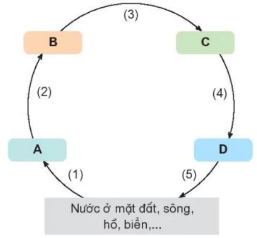 hinh-anh-bai-2-su-chuyen-the-cua-nuoc-va-vong-tuan-hoan-cua-nuoc-trong-tu-nhien-6506-7