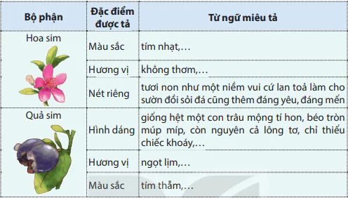 hinh-anh-bai-17-cay-da-que-huong-7165-7