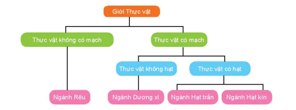 hinh-anh-bai-34-thuc-vat-7960-7