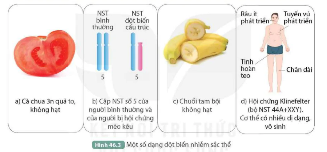 hinh-anh-bai-46-dot-bien-nhiem-sac-the-9819-5