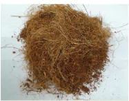 hinh-anh-bai-5-gia-the-trong-cay-13261-7