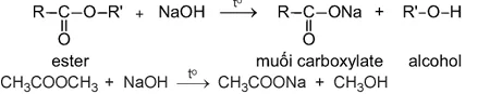 hinh-anh-bai-1-ester-lipid-13499-7