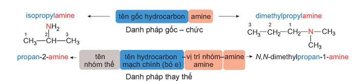 hinh-anh-bai-8-amine-13506-6