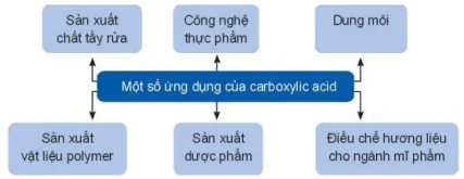 hinh-anh-bai-24-carboxylic-acid-13672-17